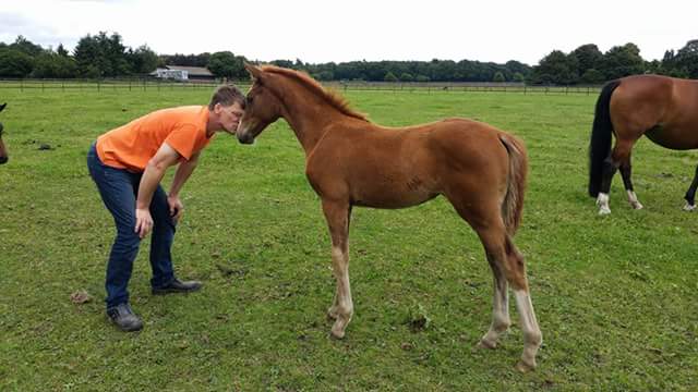 FB IMG 1473151858155 - Livia