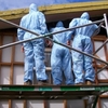removal asbestos - RiverCity Asbestos Removals