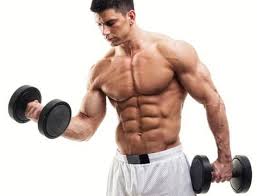 fgb Body Building And Its Secrets