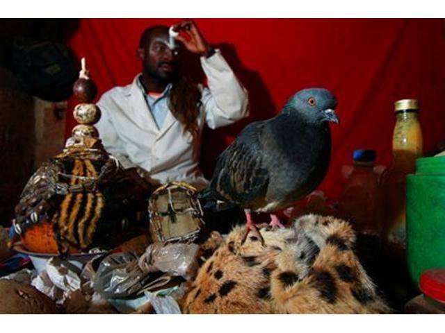 28 0027736244753 Voodoo Love Spells that Work Faster Lost Love Spells Caster Canada Namibia
