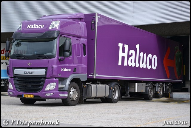 68-BFK-6 DAF CF Haluco-BorderMaker 2016