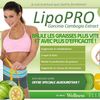lipo-pro-avis - Lip Pro