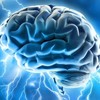 http://www.strongtesterone.com/xcele-brain-reviews/