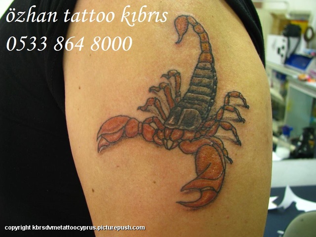 945331 10201285412288222 911396412 n dövme modelleri,tattoo designs