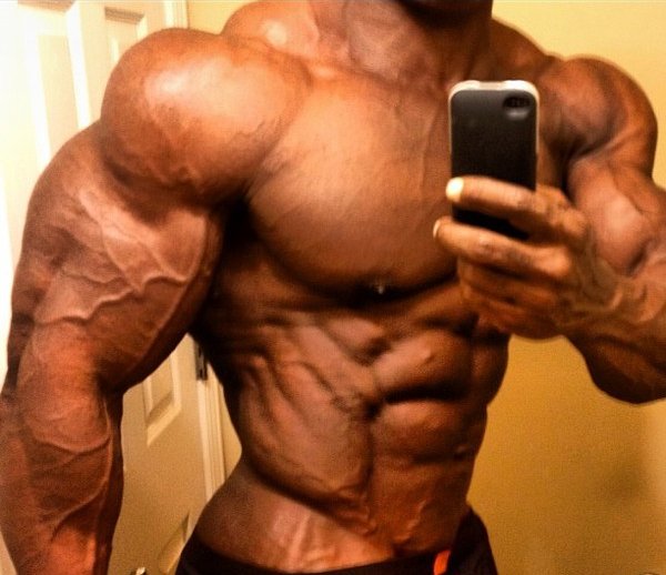 Shredded-and-Jacked-1 Picture Box