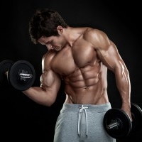 Muscle Building Workouts For Starters Picture Box