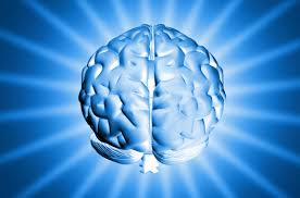 Top 11 Tips Any Healthy Brain ! Top 11 Tips Any Healthy Brain !