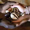 100% Want A Divorce % love spells 0027731295401 %  Lost love spell caster to bring back lost lover in Chicago,Seattle mexico