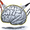 Eight Ways To Improve Brain... - Eight Ways To Improve Brain...