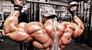 To More Muscle In Your Body Building Routines To More Muscle In Your Body Building Routines