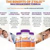 Zyalix-fact -  http://www.healthytalkzone