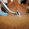 Affordable Carpet Cleaning ... - Picture Box