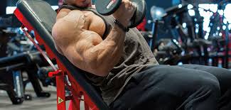 Muscle Building Using Only Bodyweight Muscle Building Using Only Bodyweight