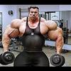 Muscle Building For Beginne... - Size And Mass Matter Most M...