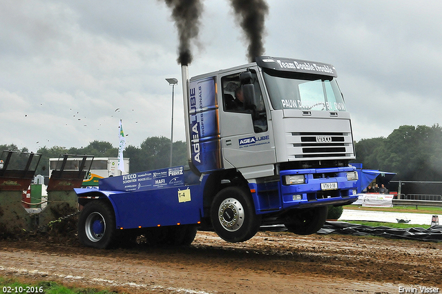 02-10-2016 boerdonk 151-BorderMaker 02-10-2016 Boerdonk