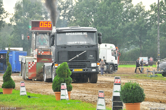 02-10-2016 boerdonk 221-BorderMaker 02-10-2016 Boerdonk