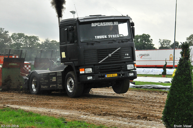 02-10-2016 boerdonk 229-BorderMaker 02-10-2016 Boerdonk