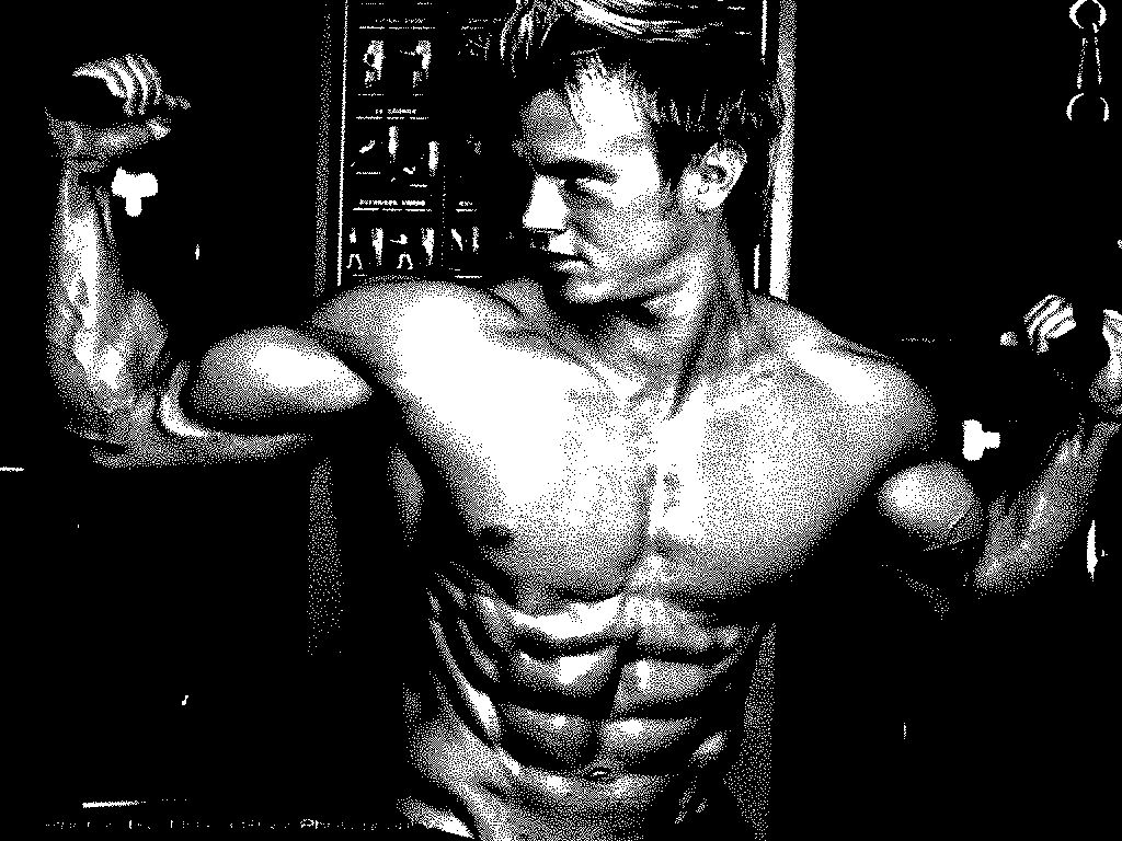 Developing Muscle Tissue Picture Box