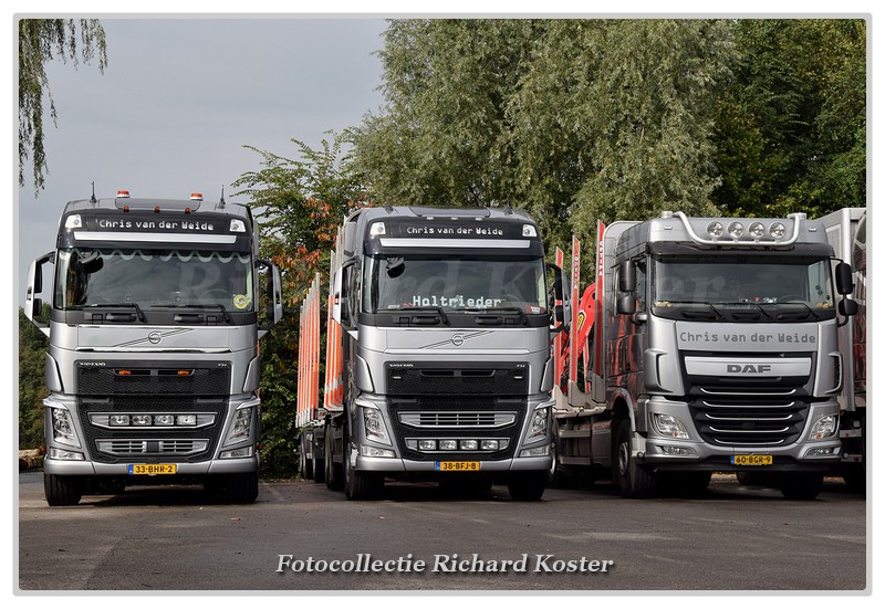 Weide & zn., Jan van der Line-up (19)-BorderMaker - Richard