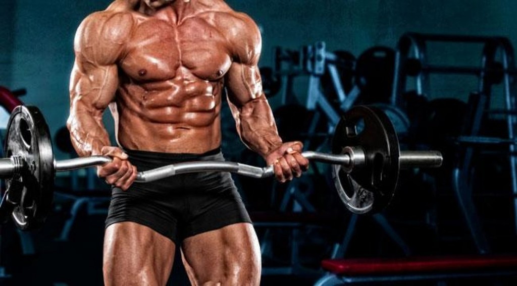 Build Muscle - Female Guide Build Muscle - Female Guide