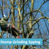 Stump Grinding Epping - Stump Grinding Epping
