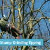 Stump Grinding Epping