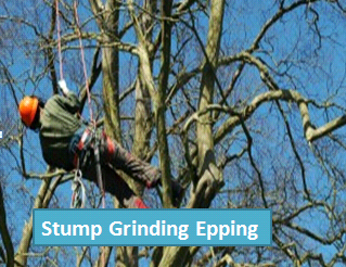 Stump Grinding Epping Stump Grinding Epping