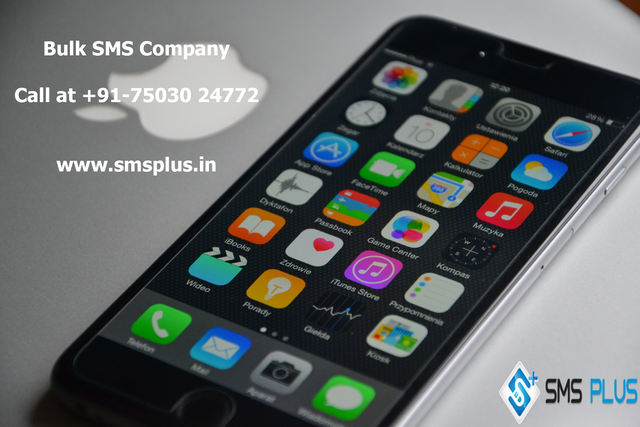 bulk-sms-company SMS Service
