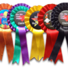 Personalised Rosettes - Custom Party Wear 
