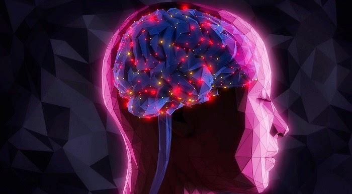 brain Picture Box