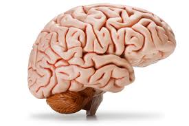 images (3) The foods you eat can  on how to think