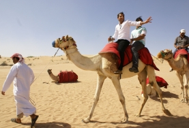 Desert Safari in Abu Dhabi Picture Box
