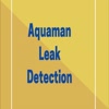 swimming pool leak detection - Picture Box