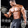 The Perfect Body Building D... - The Perfect Body Building D...