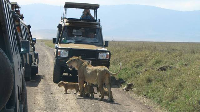 Safari Holidays in Tanzania Picture Box