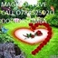 14034846 132574953857540 23... - Madison Colorado Springs O78452592O Get Help For Your Lost Lover IN PHONIX MIMAI SAN JOSE 