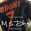 MS Dhoni Continues Good Run... - Picture Box