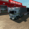 ets2 Daf 95 XF 4x2 Super Sp... - prive skin ets2