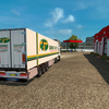 ets2 Daf 95 XF 4x2 Super Sp... - prive skin ets2