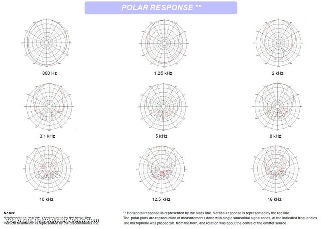 Polar response Dynamic Two