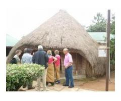 Traditional healer and black magic Picture Box