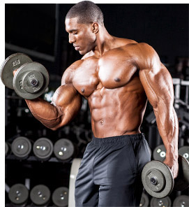 The Best Muscle Building Exercises Ever! The Best Muscle Building Exercises Ever!