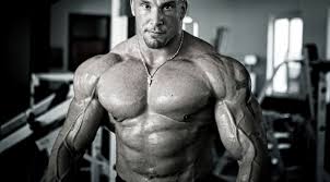 Muscle Building Without Equipment Muscle Building Without Equipment