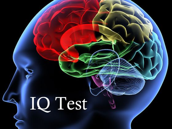 Enhance Mind IQ Picture Box