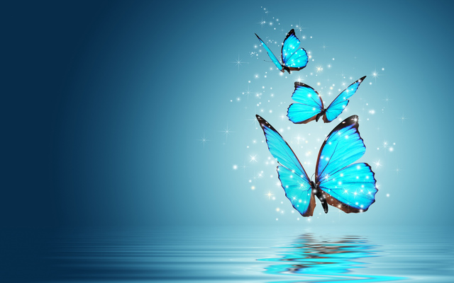 butterfly-hq-wallpaper 09354994 256 HyperTone Force