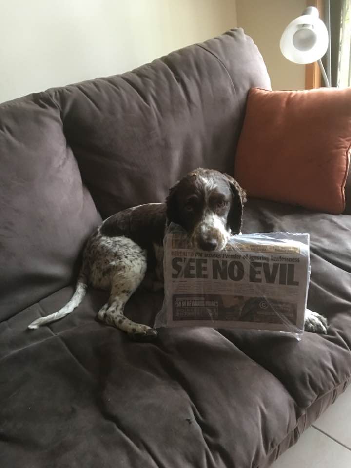 14915335 1314815415230608 2355187219401077889 n-2 - 