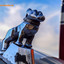 VENLO TRUCKING-76 - Trucking around VENLO (NL)