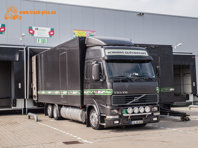 VENLO TRUCKING-170 Trucking around VENLO (NL)