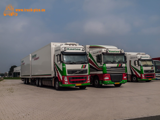 VENLO TRUCKING-176 Trucking around VENLO (NL)