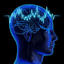Increase Your Brain Power Q... - Picture Box